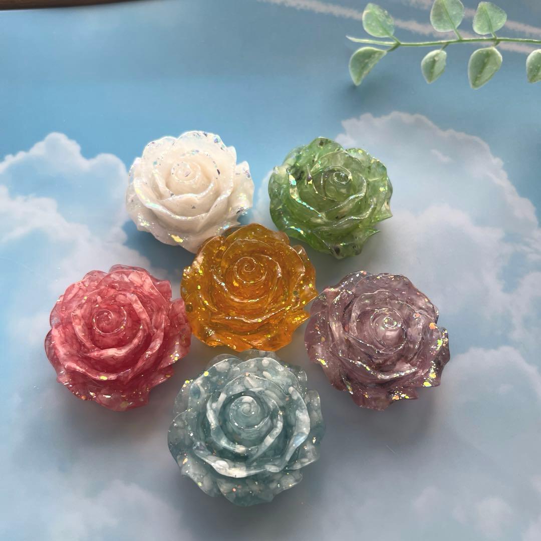 つねりん様　オルゴナイト　6色のバラ