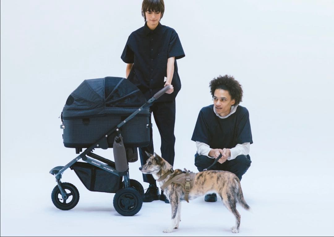 かな　AIRBUGGY×and wander DOME3