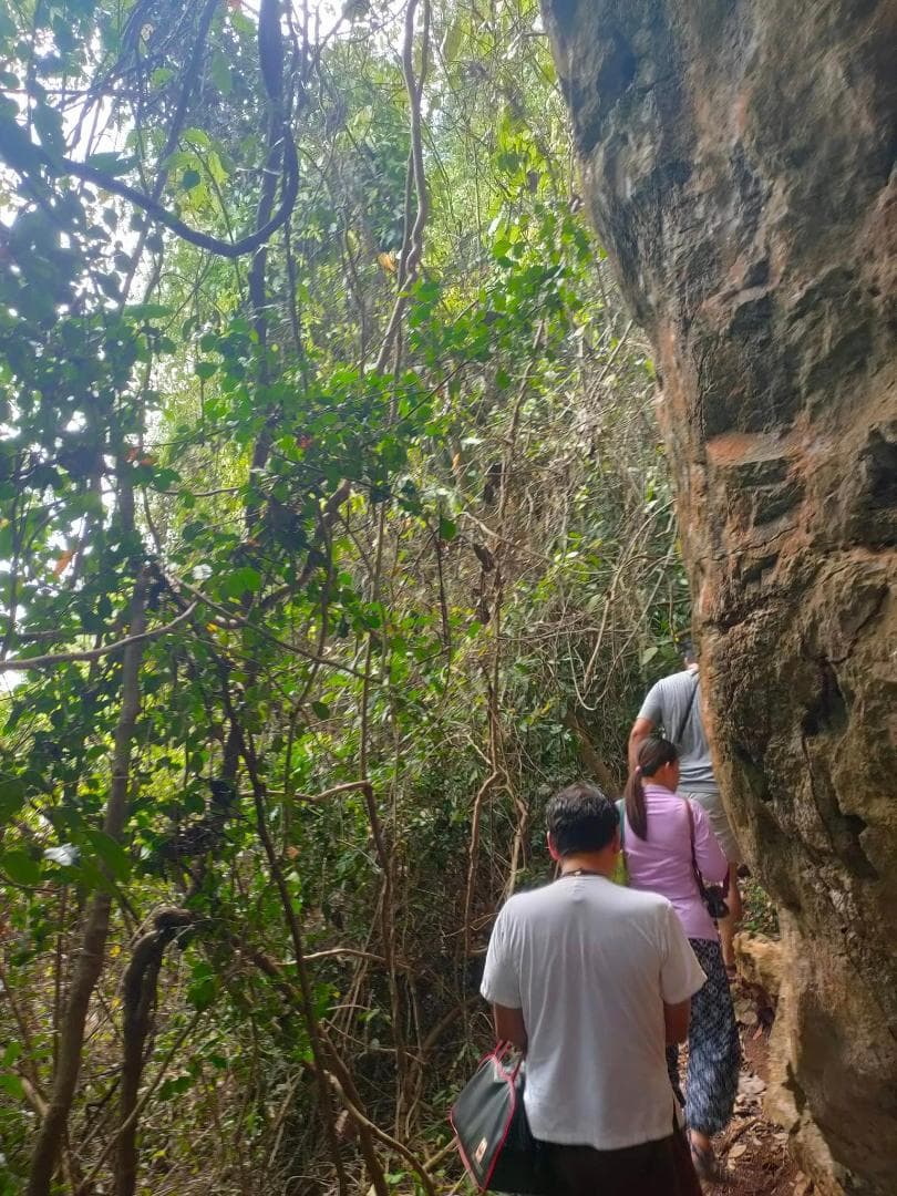 ❇洞窟の宝石♉レクライ⭐琥珀色のクリスタル❄ケウ♋神聖物質♊プラクルアン✨