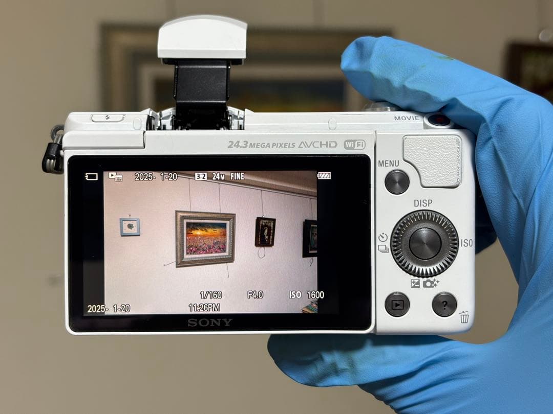 SONY α5100 パワーズームレンズキット 動作確認済み