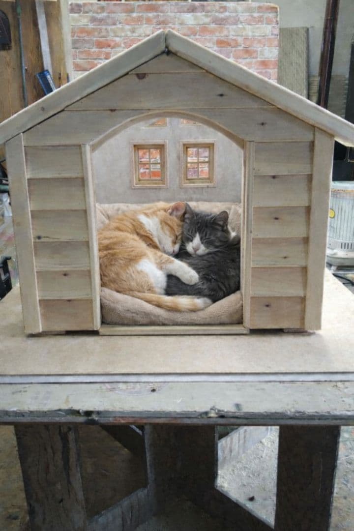 職人手作り 木製ペットハウス「Kenno」初号機　小型犬・猫用／室内用／特典付