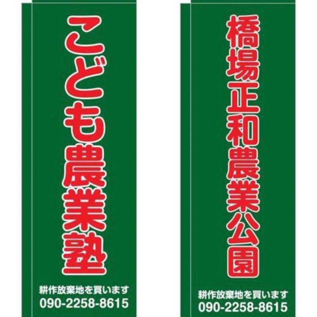 イタリア雑貨【デルータ　マヨルカ焼き　壺　花瓶】