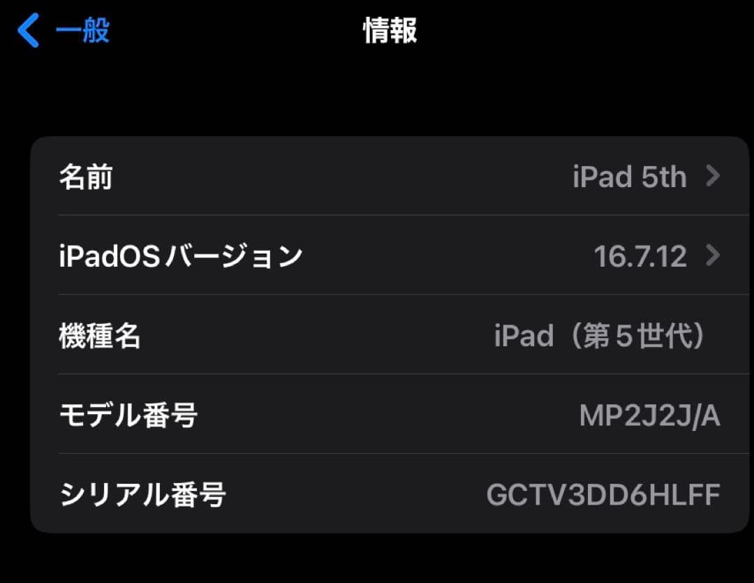 iPad 第5世代 128GB Silver Wi-Fiモデル