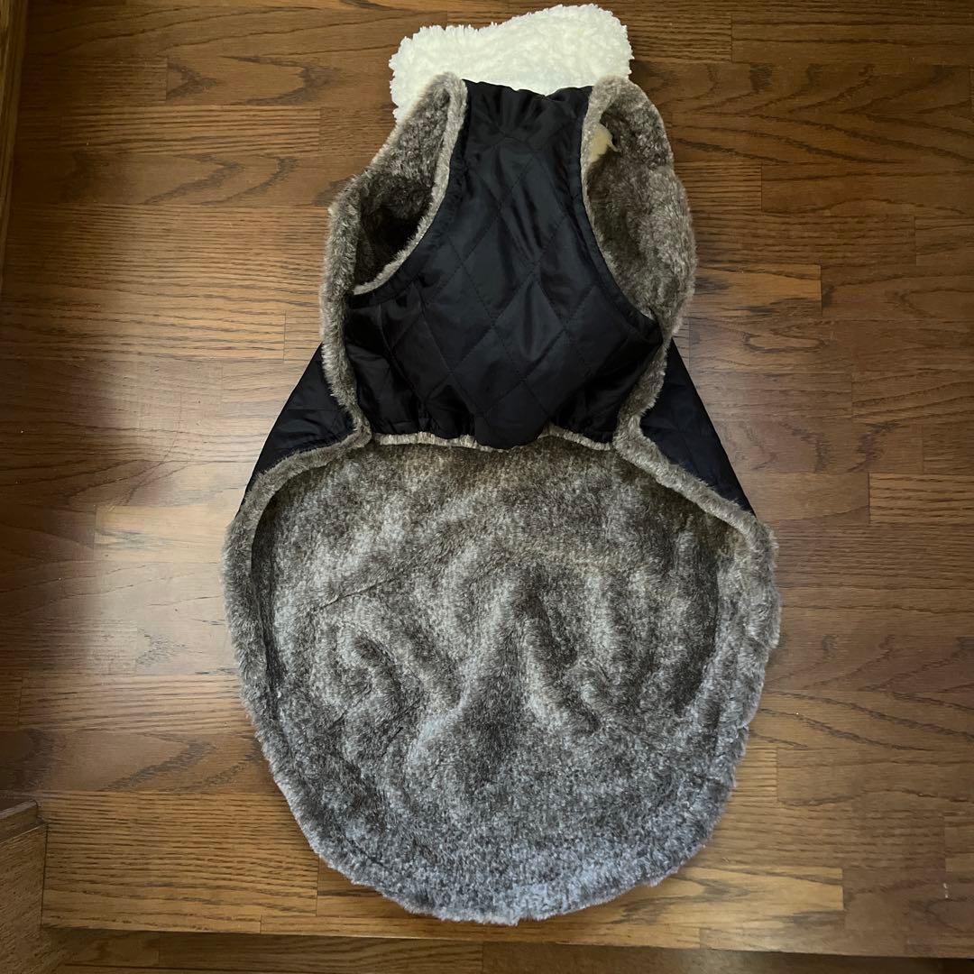 イタグレ、ウィペットアウターオーダー受付