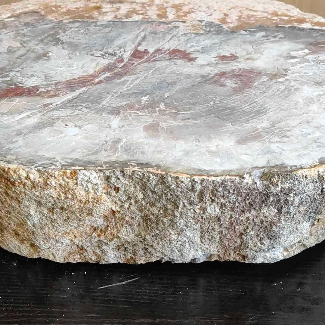 アリゾナ州で発掘された超大型珪化木の化石重量なんと21.3kg