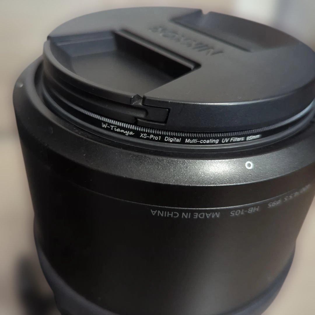 NIKKOR Z 400mm f/4.5 VR S フィルタ付き