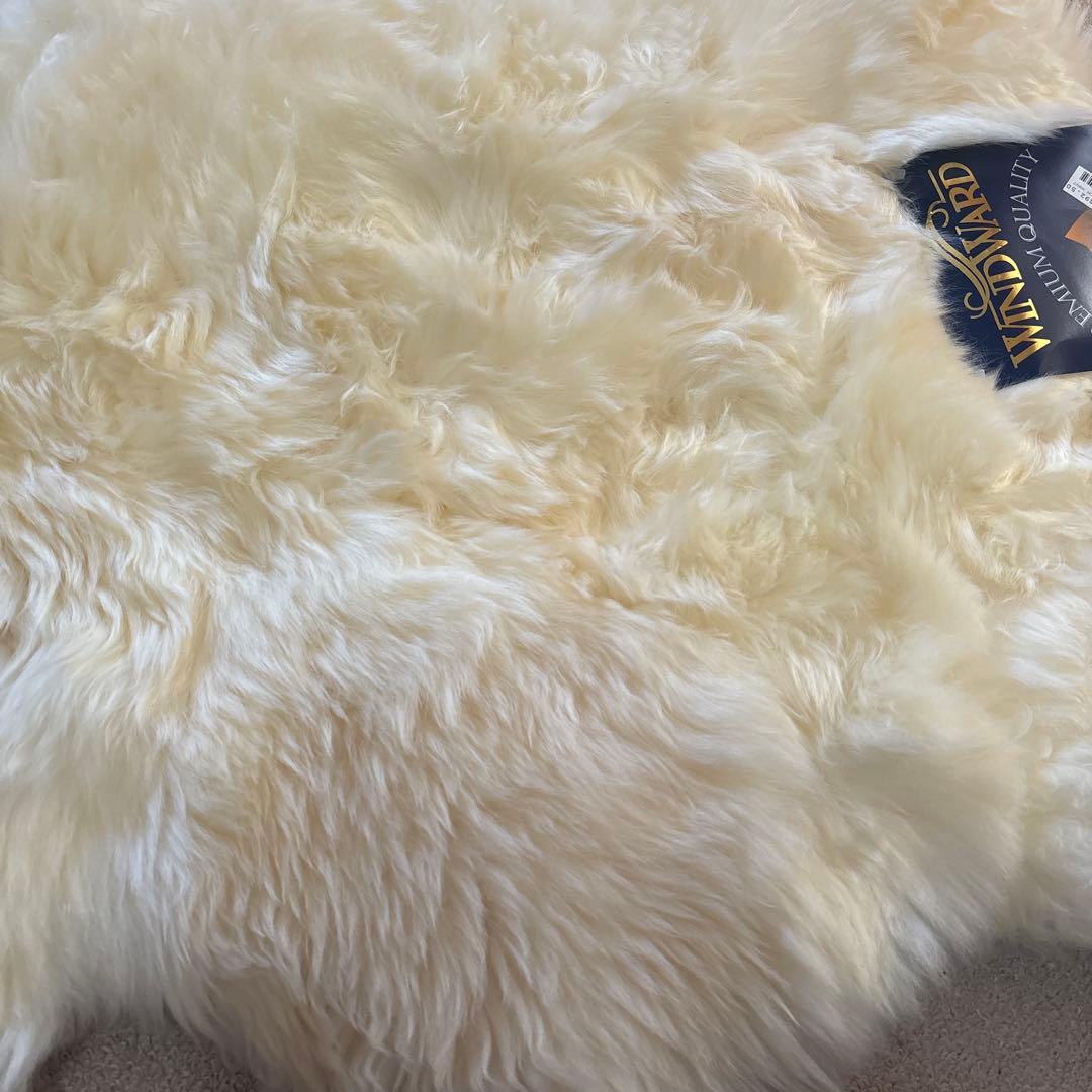新品★WINDWARD★天然ムートン★ラグ★ラムスキン★ニュージーランド製★羊