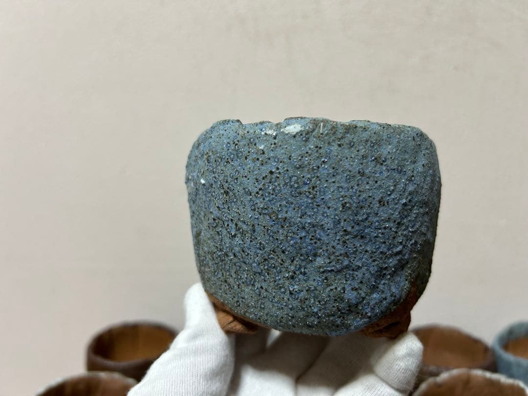 ひまわり