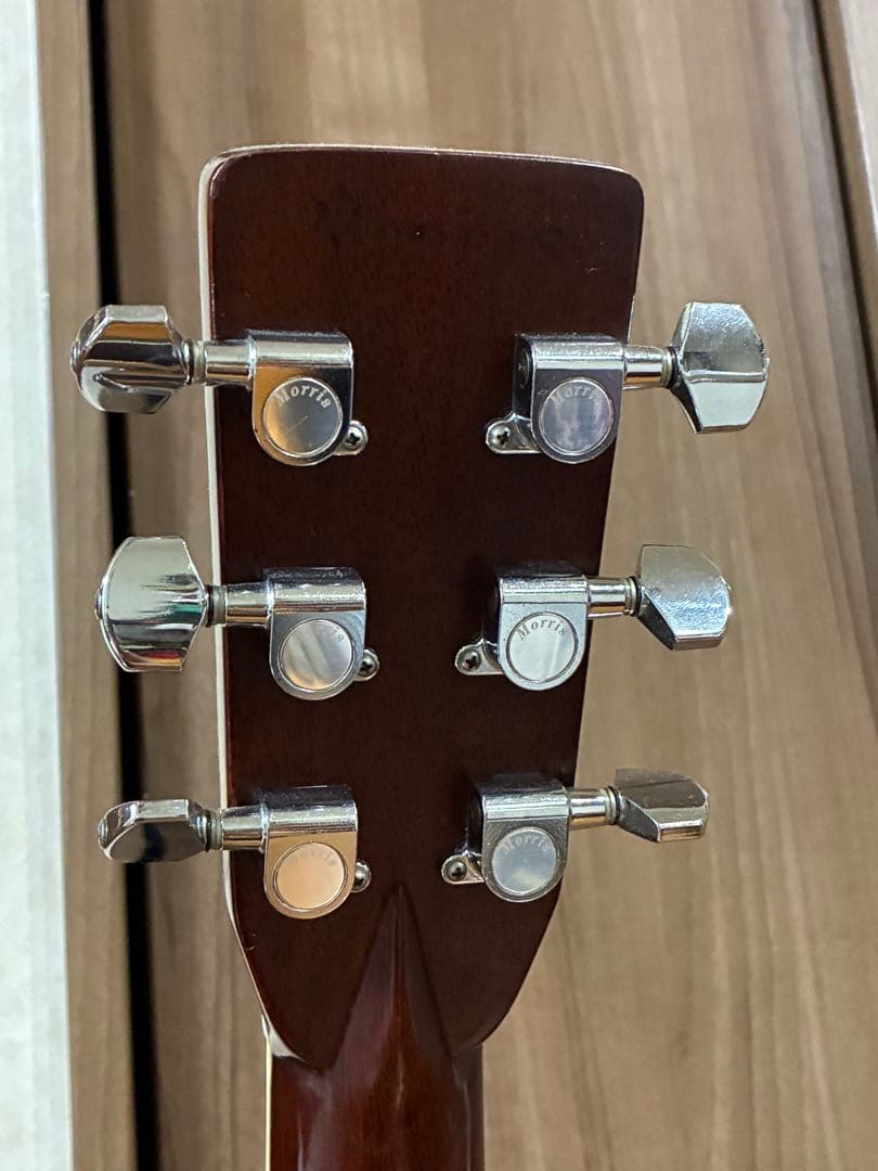 Morris W-50 アコースティックギター