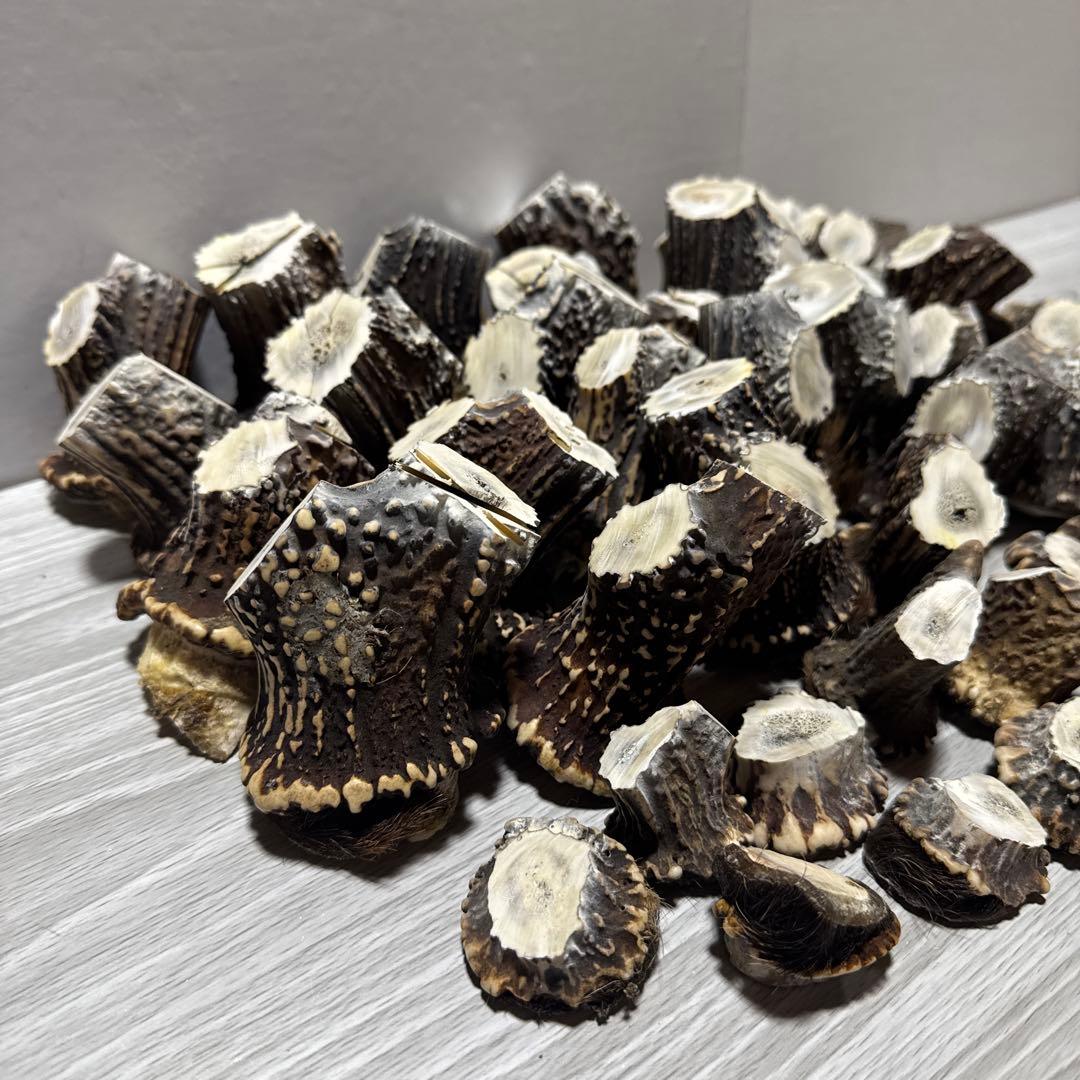 鹿の角　端材　ハンドメイド用