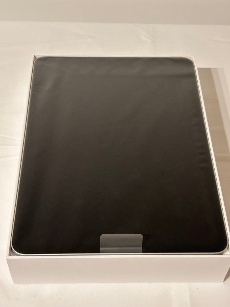 Apple iPad Pro 11 (第3世代) 256GB シルバー M1