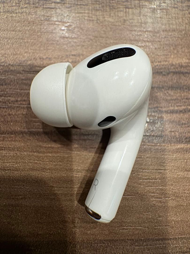 airpods pro 第一世代 + GANZOレザーケース