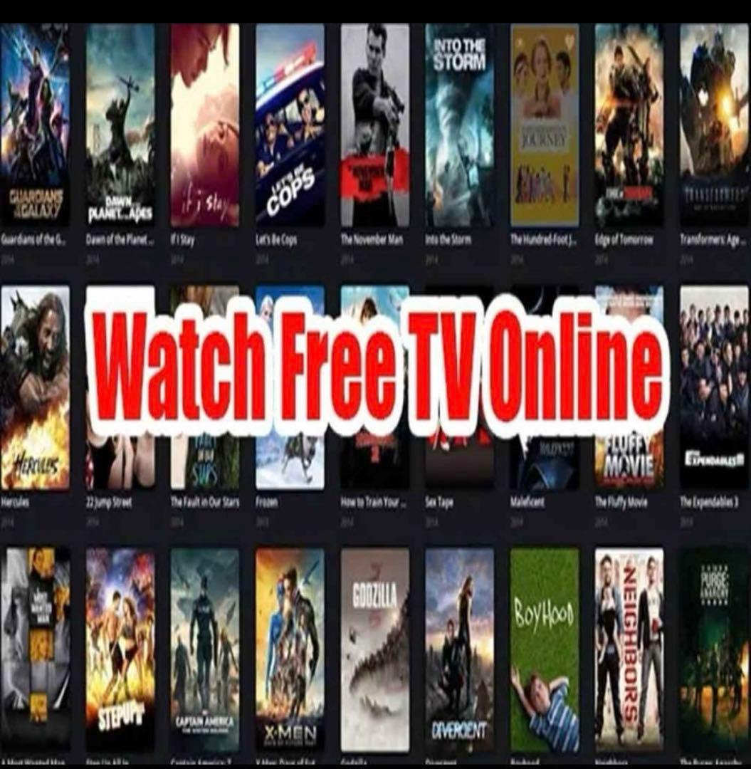 DIGIBOX D3 PLUS ライブテレビボックス 最も人気 テレビボックス