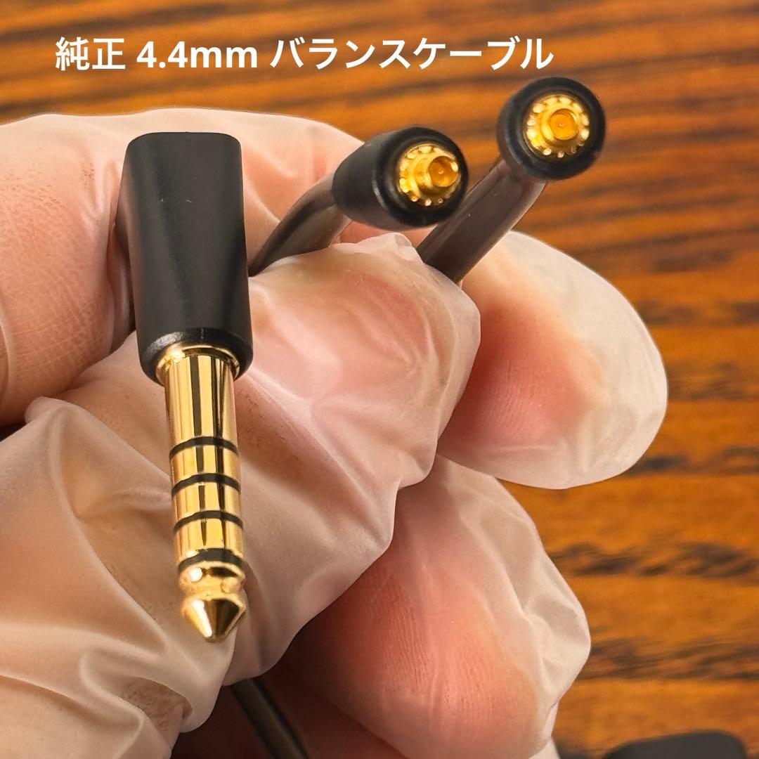 Sennheiser IE900 ゼンハイザー【付属品完備】