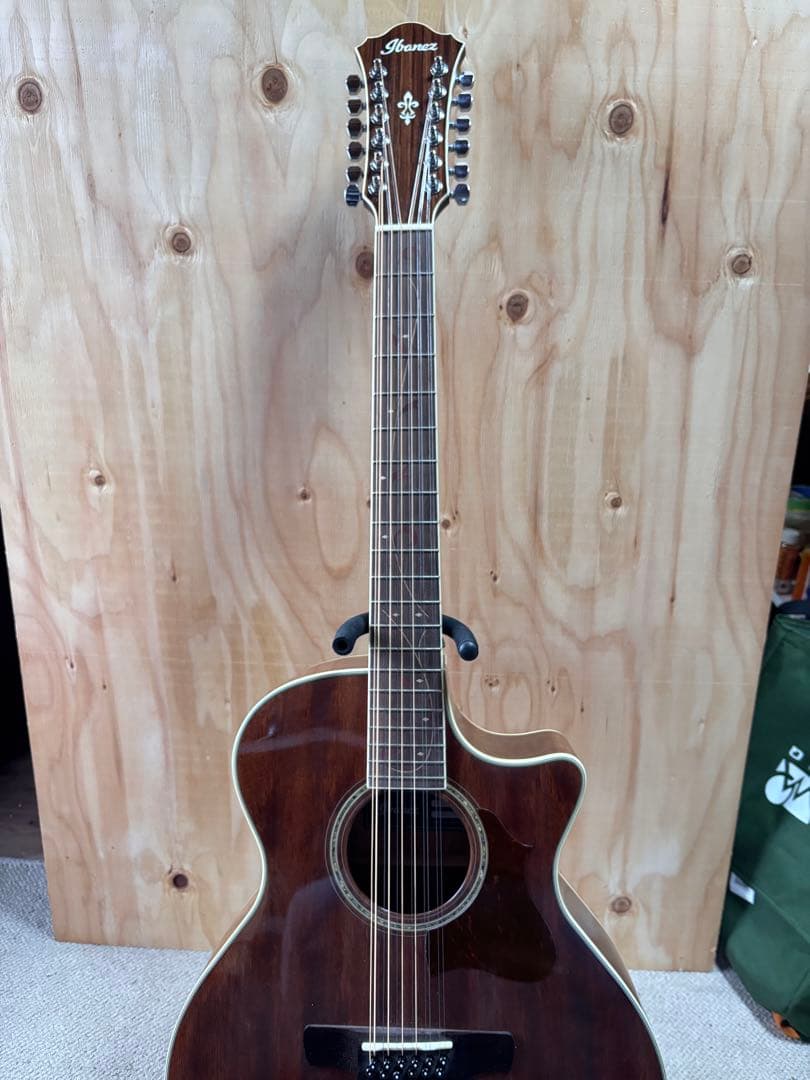Ibanez オールマホガニー　トップ単板12弦 エレアコ　純正ギグケース付