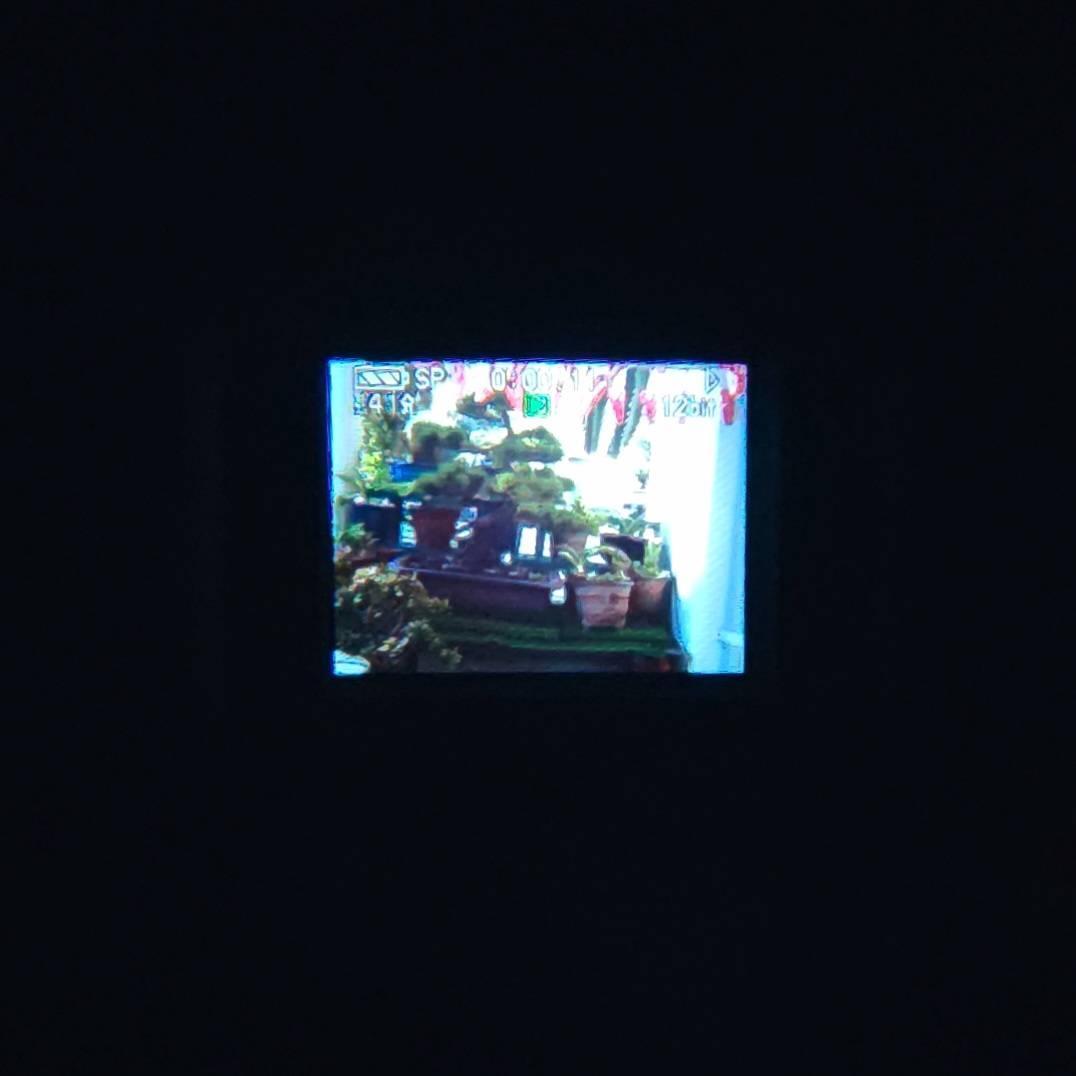 【動作確認済】Panasonic MiniDV 高画質 ビデオカメラ セット