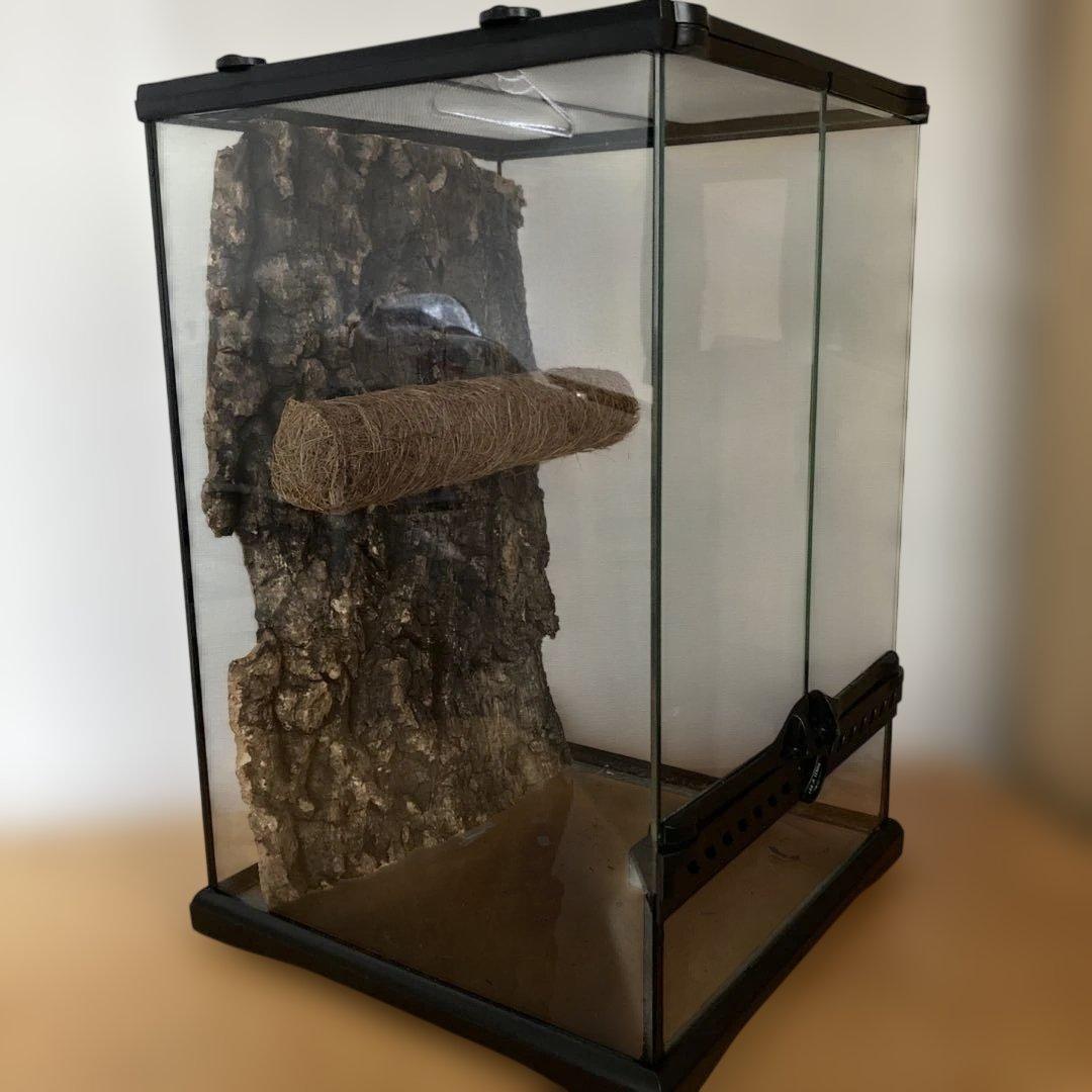 エキゾテラ　GEX　グラテラ3045 中古　②