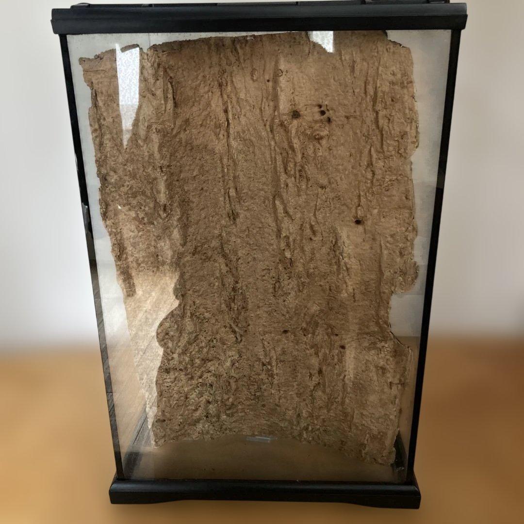 エキゾテラ　GEX　グラテラ3045 中古　②