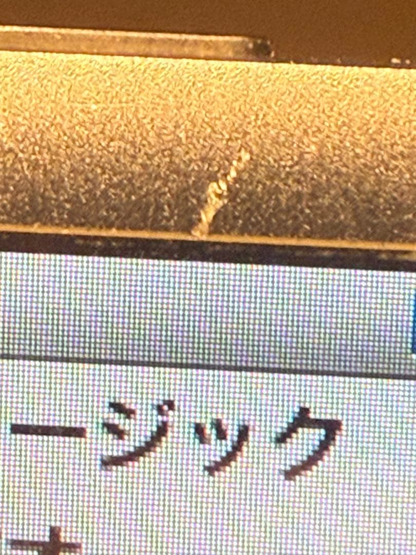 iPod Classic 80GB 極美品 Louis Vuitton ケース付