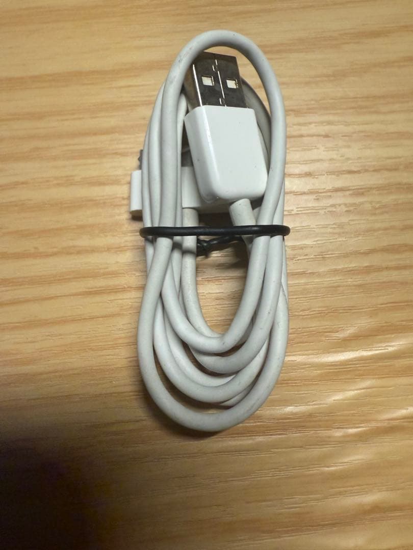 iPod Classic 80GB 極美品 Louis Vuitton ケース付