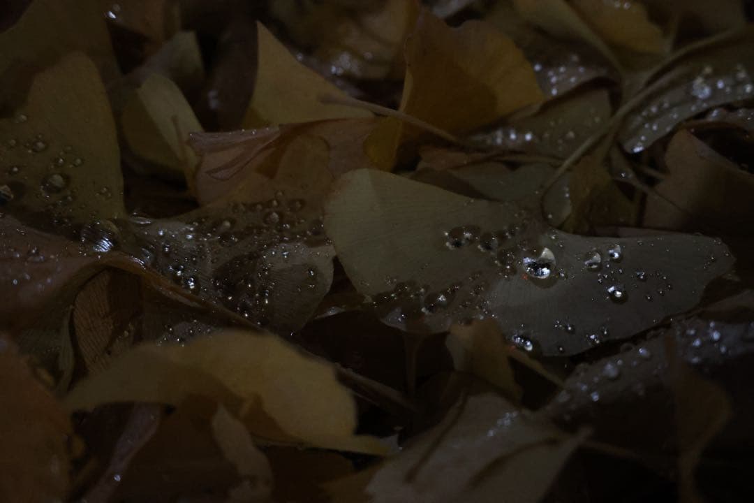 [SDカード付]Canon コンパクトデジタルカメラ PowerShot V1