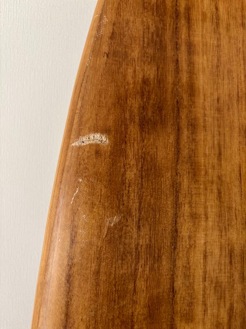 ファイヤーワイヤーFIREWIREグリーディービーバーGREEDY BEAVER