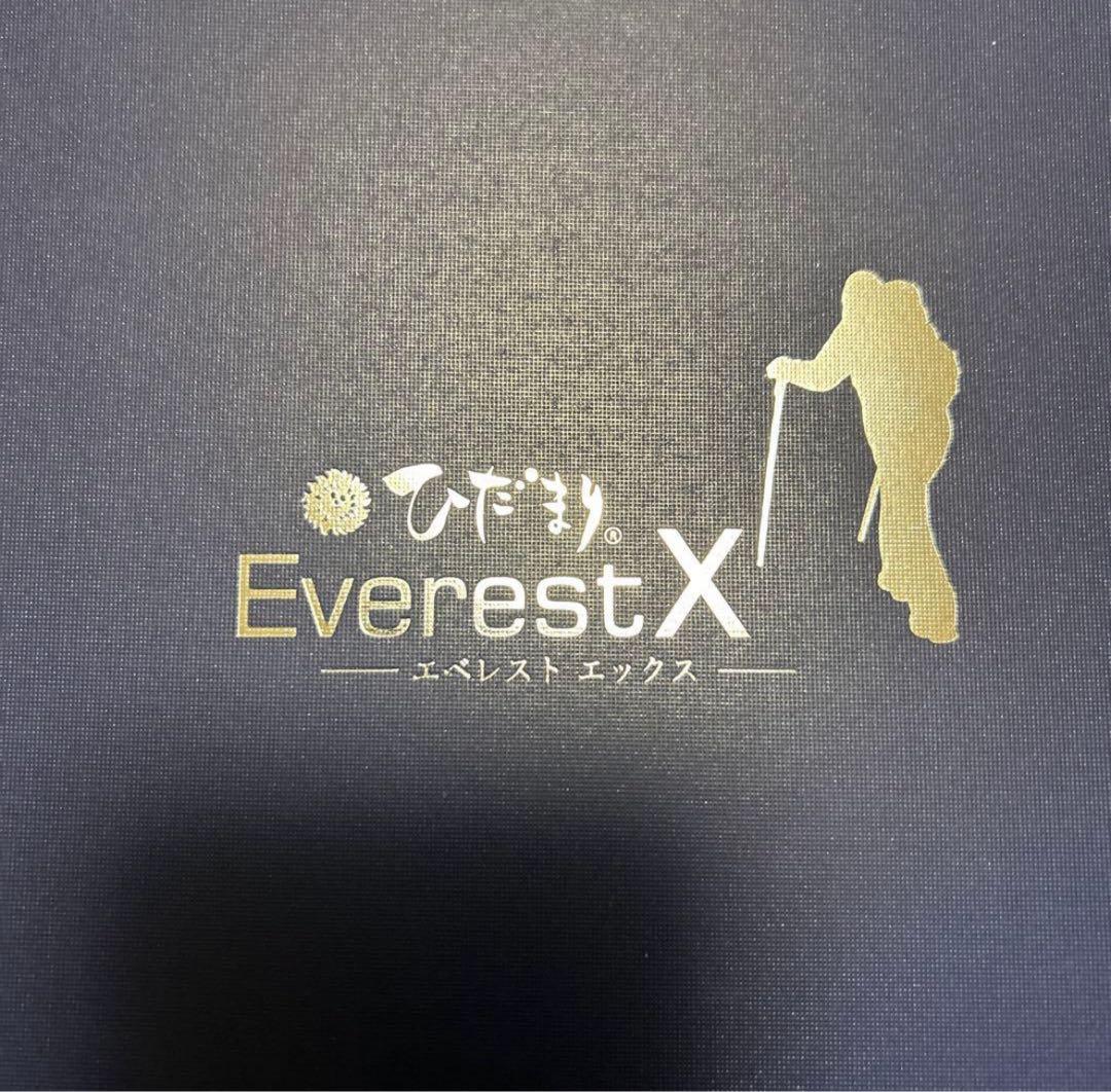 【新品未使用】ひだまり肌着 エベレスト X丸首インナー 婦人 ブラック サイズM