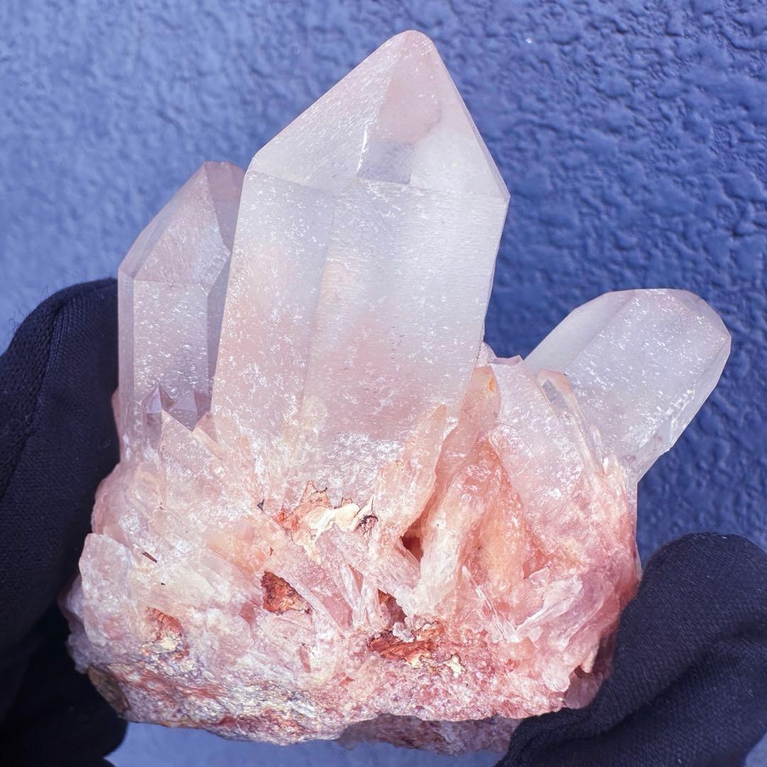 爆アレ❗️可愛いピンク♡超綺麗マダガスカル産パイナップルピンククラスターA1470