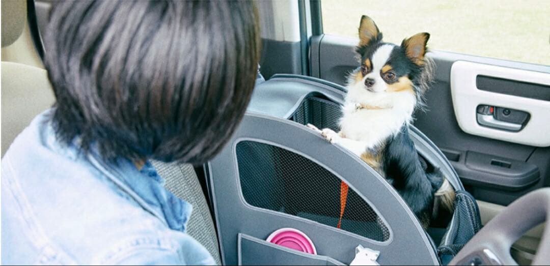 HONDA ホンダ　純正　ペットシートプラスわん