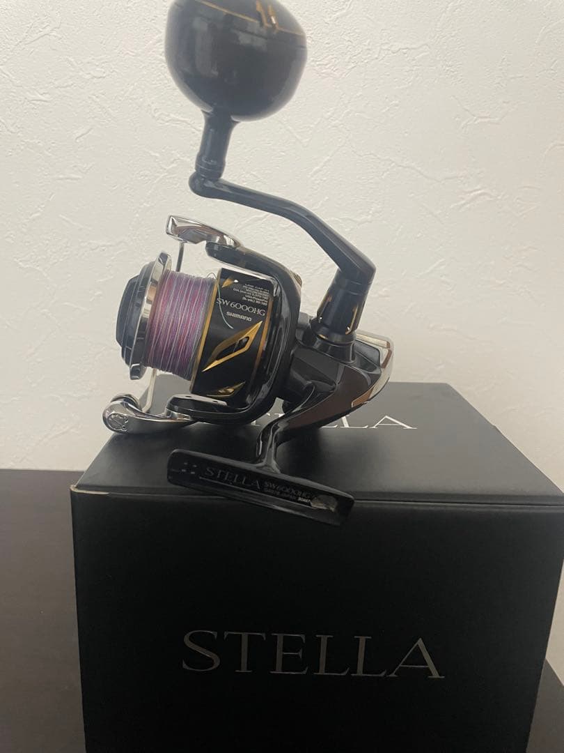 ステラSW6000hg STELLA6000hg