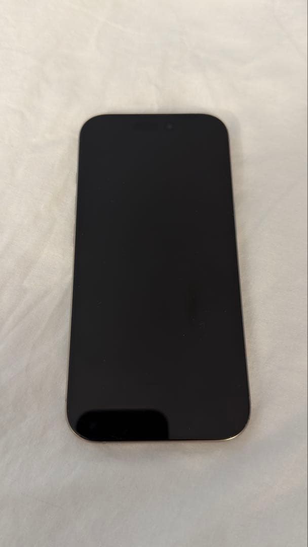 Apple iPhone 16 Pro 本体