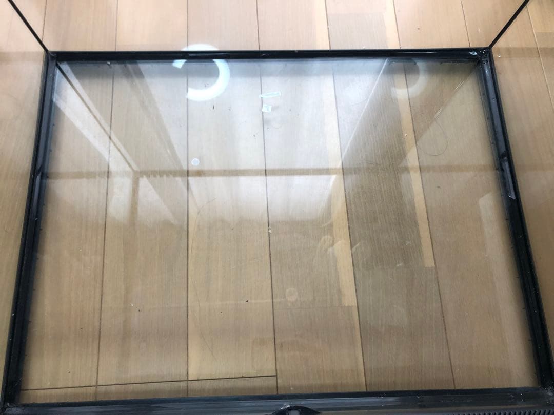 蛮太郎【引き取り限定】GEXジェックス エキゾテラグラステラリウム6045