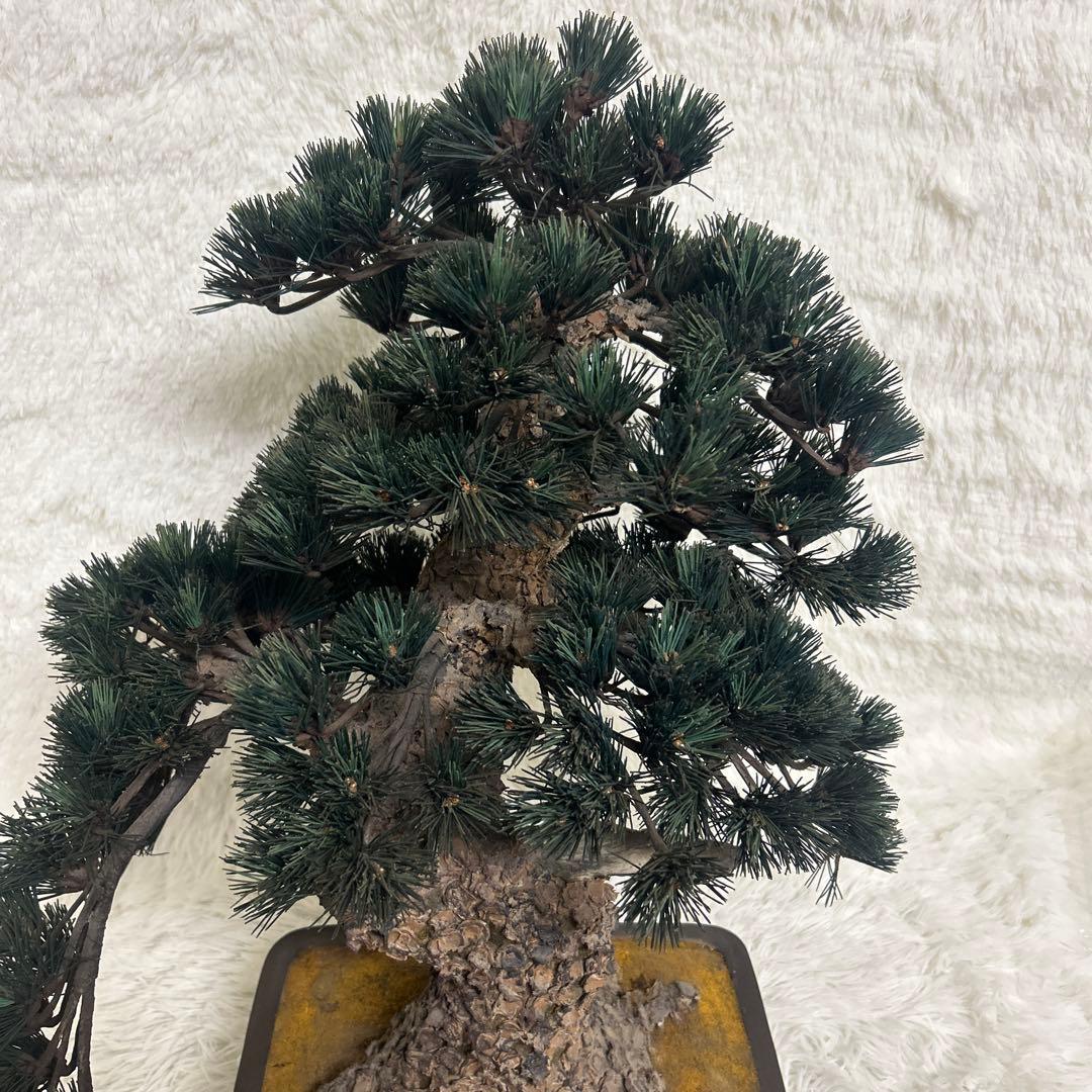【美品】造花 盆栽 レプリカ 松　ビッグサイズ