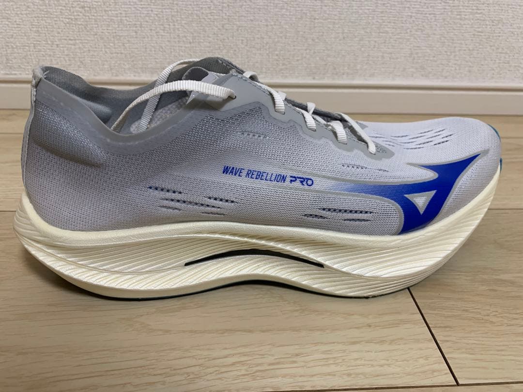 MIZUNO リベリオンプロナチュラル 28.0cm