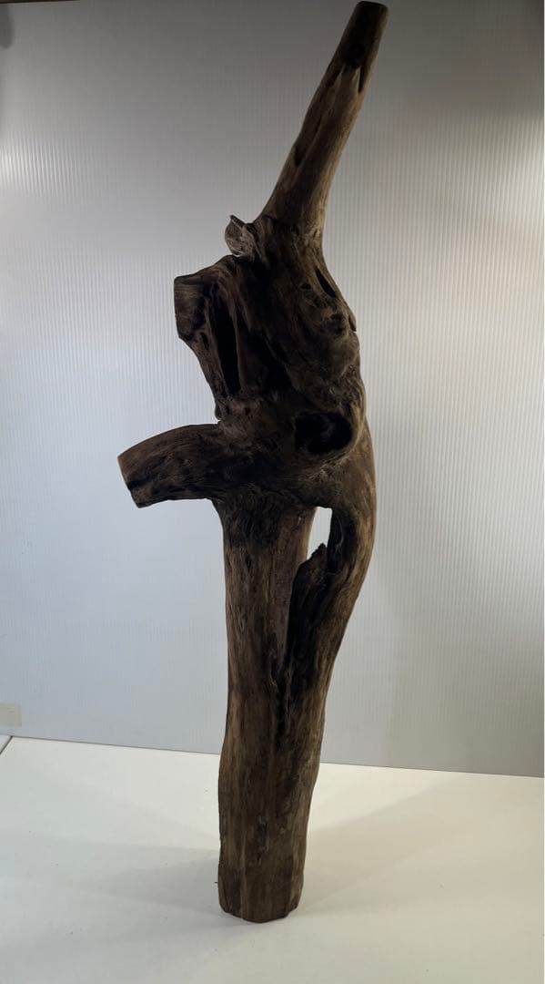 R71特大流木 アク抜き済み流木 爬虫類シェルター 登り木 インテリア 生け花