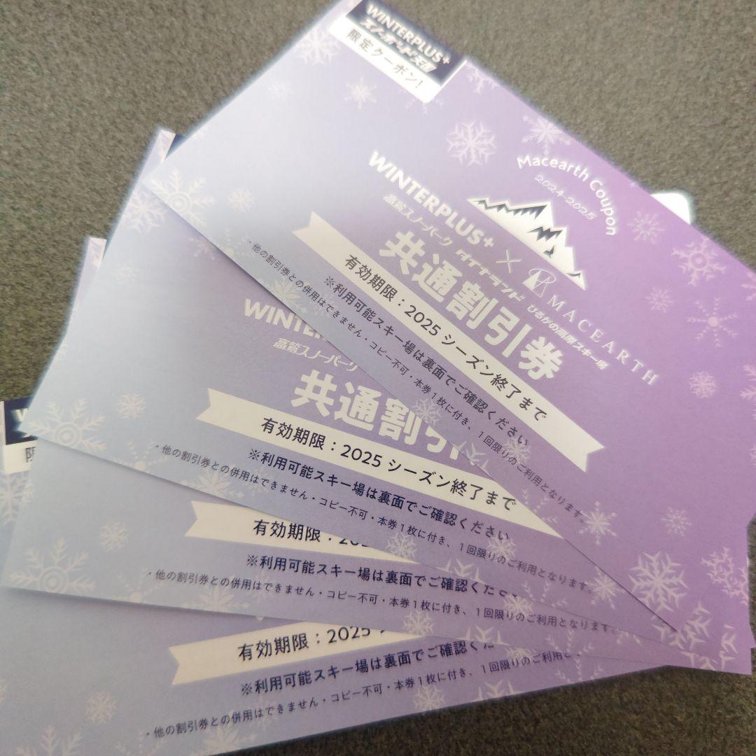 ダイナランドと高鷲スノーパークの引換不要リフト券2枚セット