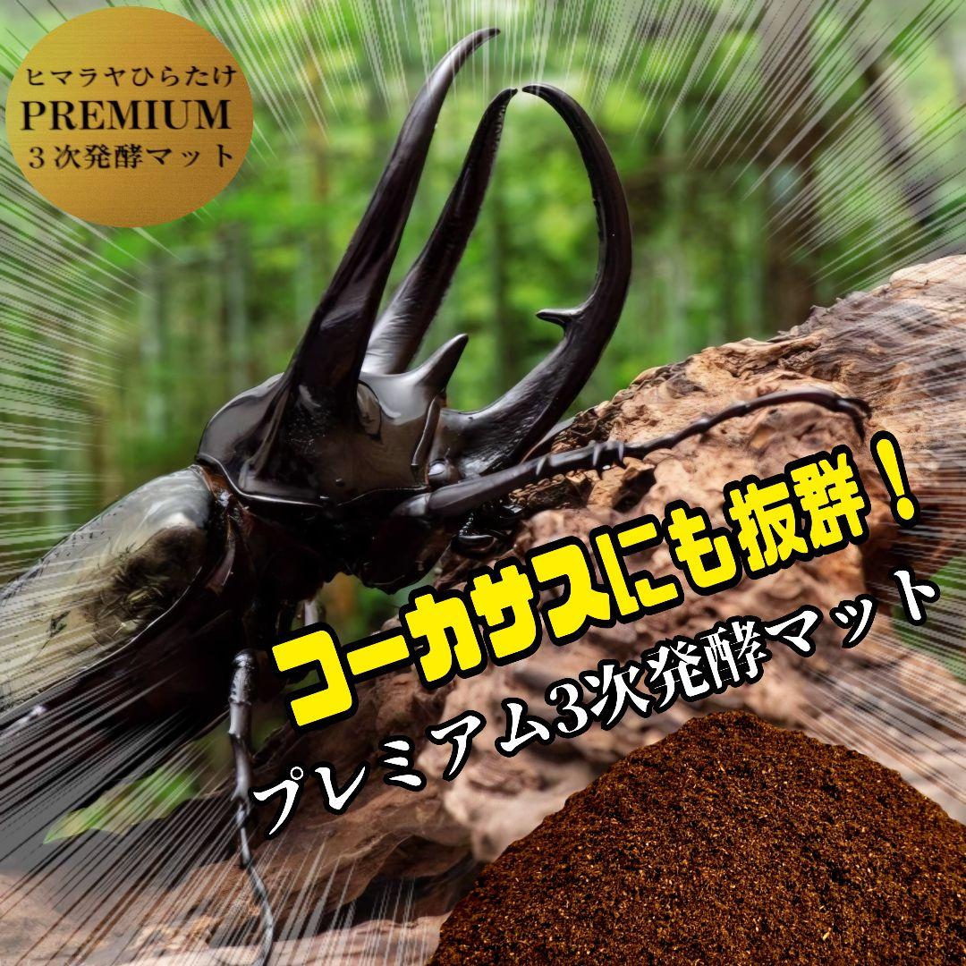 幼虫がビッグサイズに！プレミアム3次発酵カブトムシマット【60L】特殊アミノ酸入