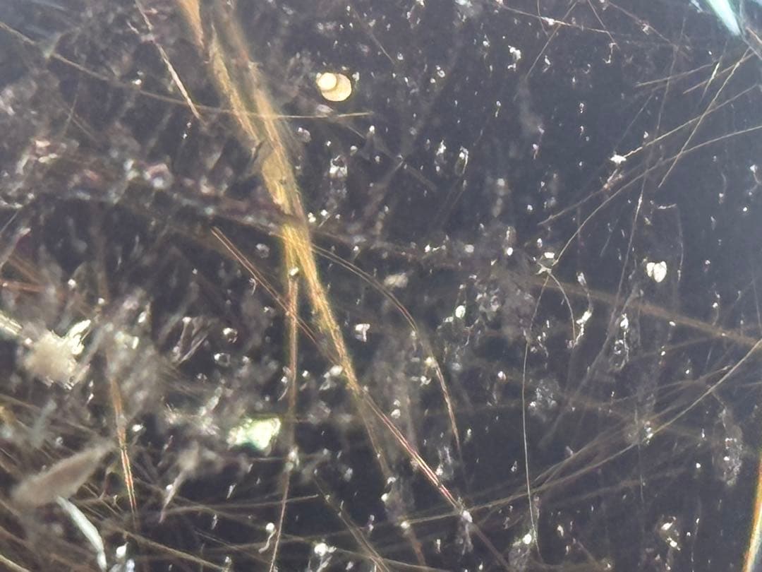 《水跡空洞×白い内包物入り＊ゴールドルチル＆スモーキースフィア》