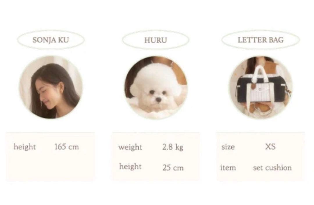 SEORU 韓国　完売　レターバッグ