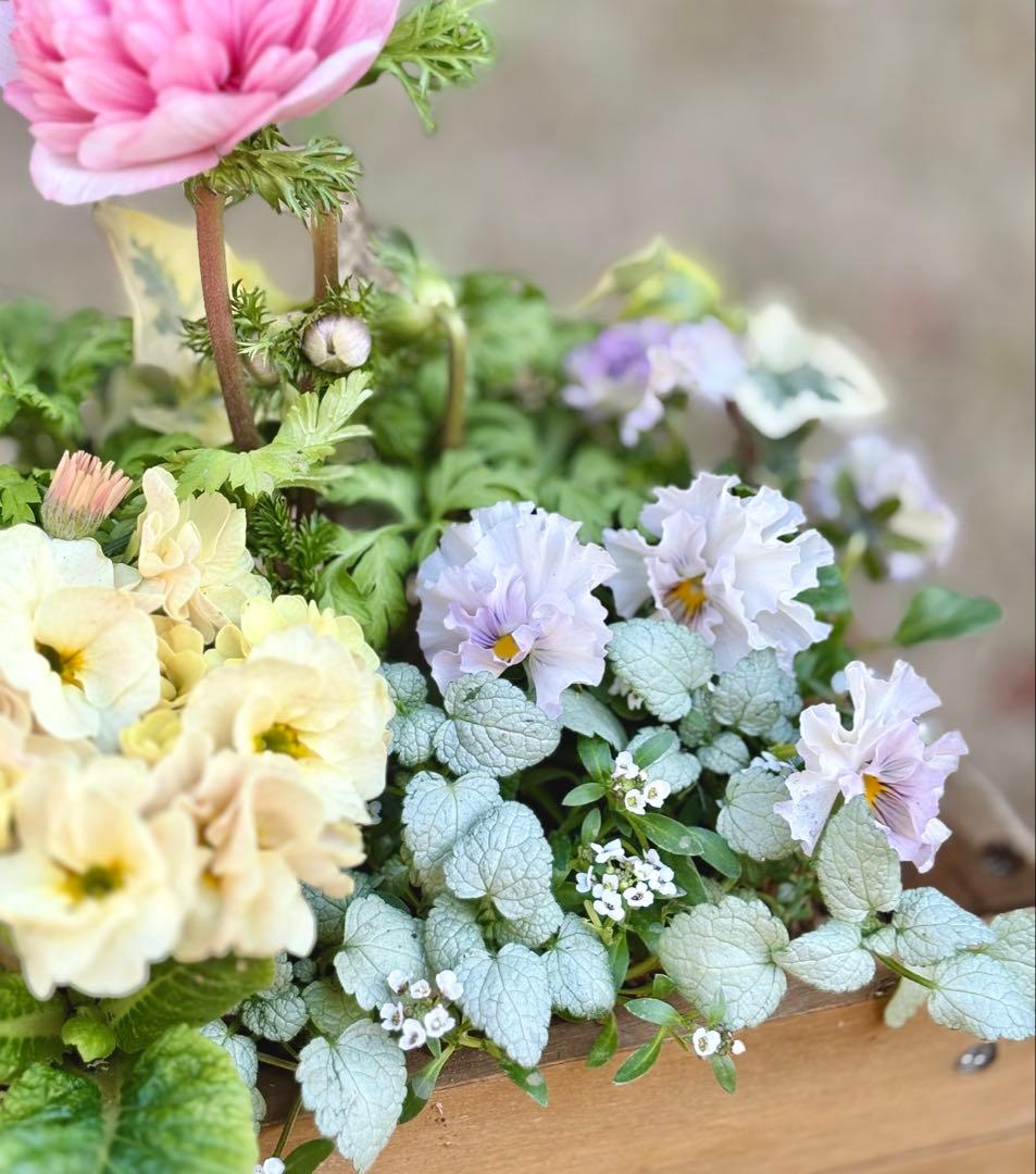 riruオーダーページ