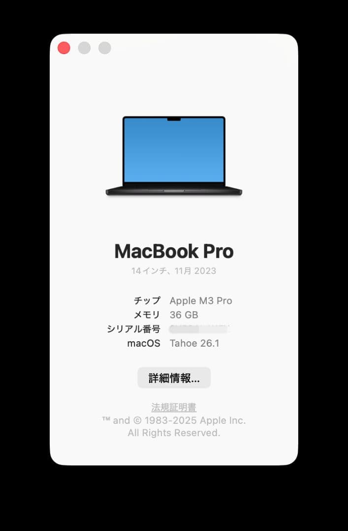 【RENDY MAULANAさん専用】MacbookPro M3 Pro