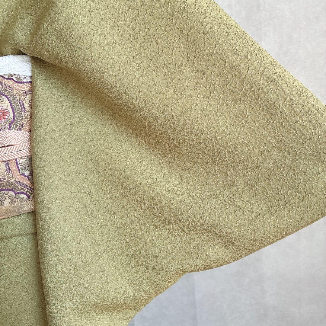 色無地　フルセット　着物　正絹　一つ紋　丹後ちりめん　共布 J10