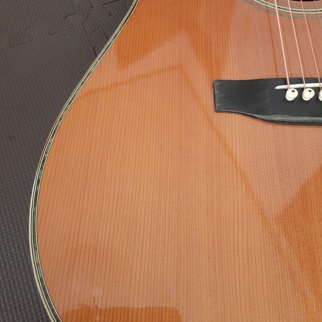Morris日本製 w30 アコースティックギター ドレッドノート