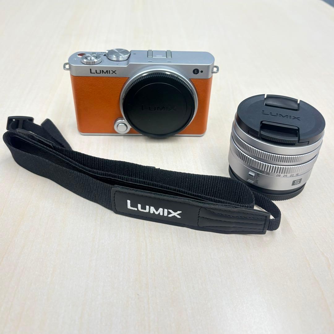 未使用級 Panasonic LUMIX S9 オレンジ18-40mm バッグ