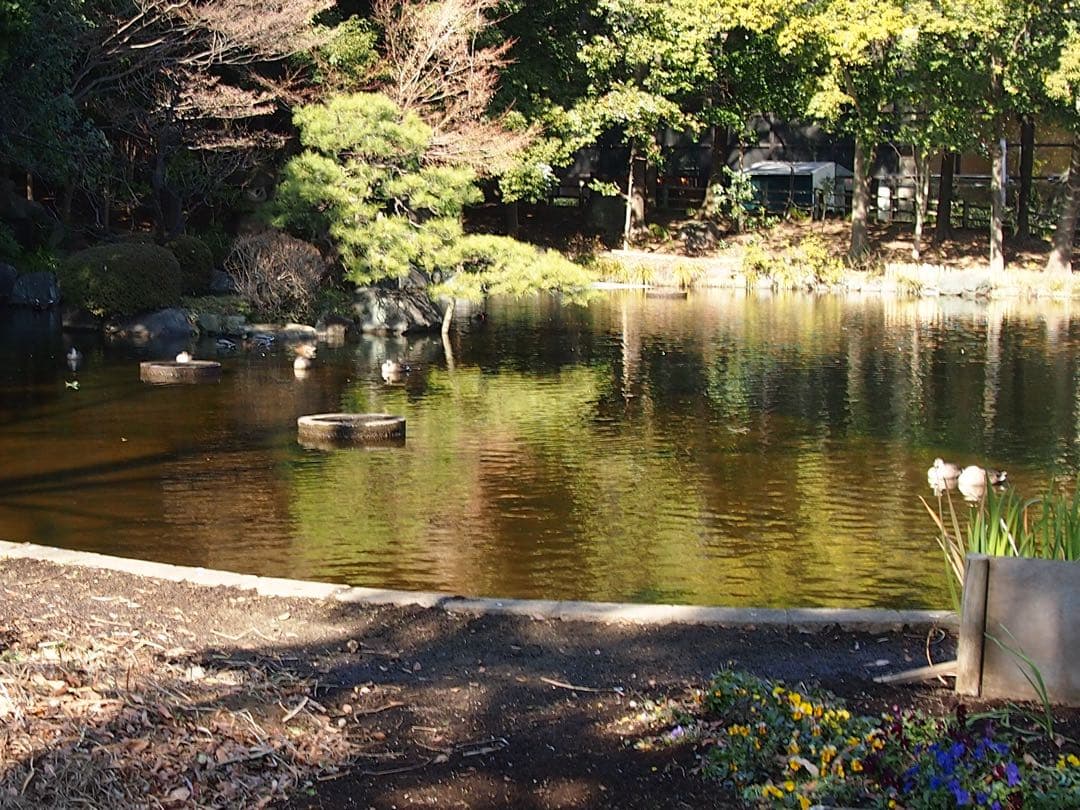 OLYMPUS PEN mini E-PM1 動作確認済 ミラーレス一眼