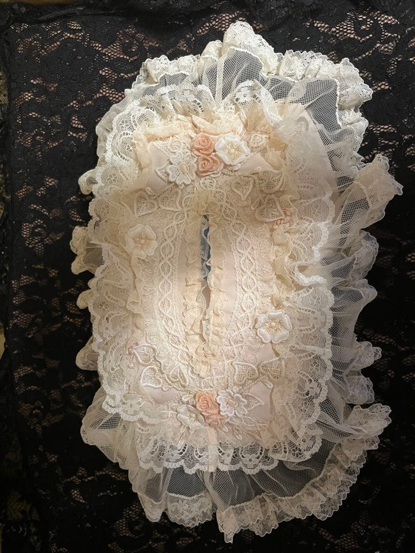 専用　小物入れ　ティッシュケース