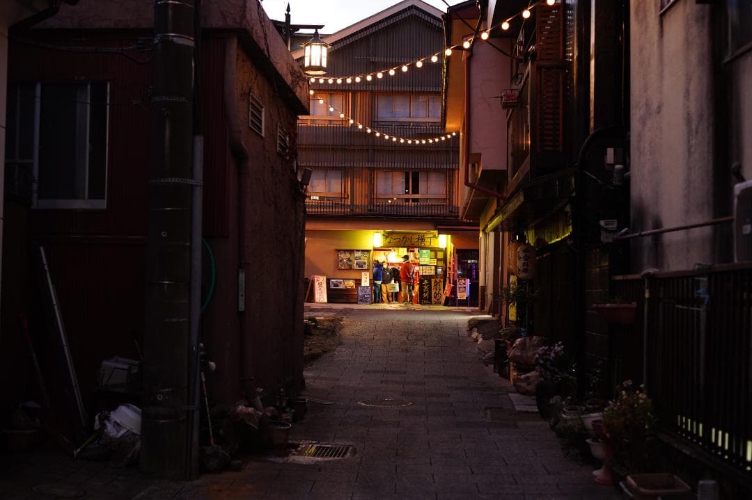 ZEISS Loxia 2/50 E-mount 標準レンズ（フルサイズ対応）