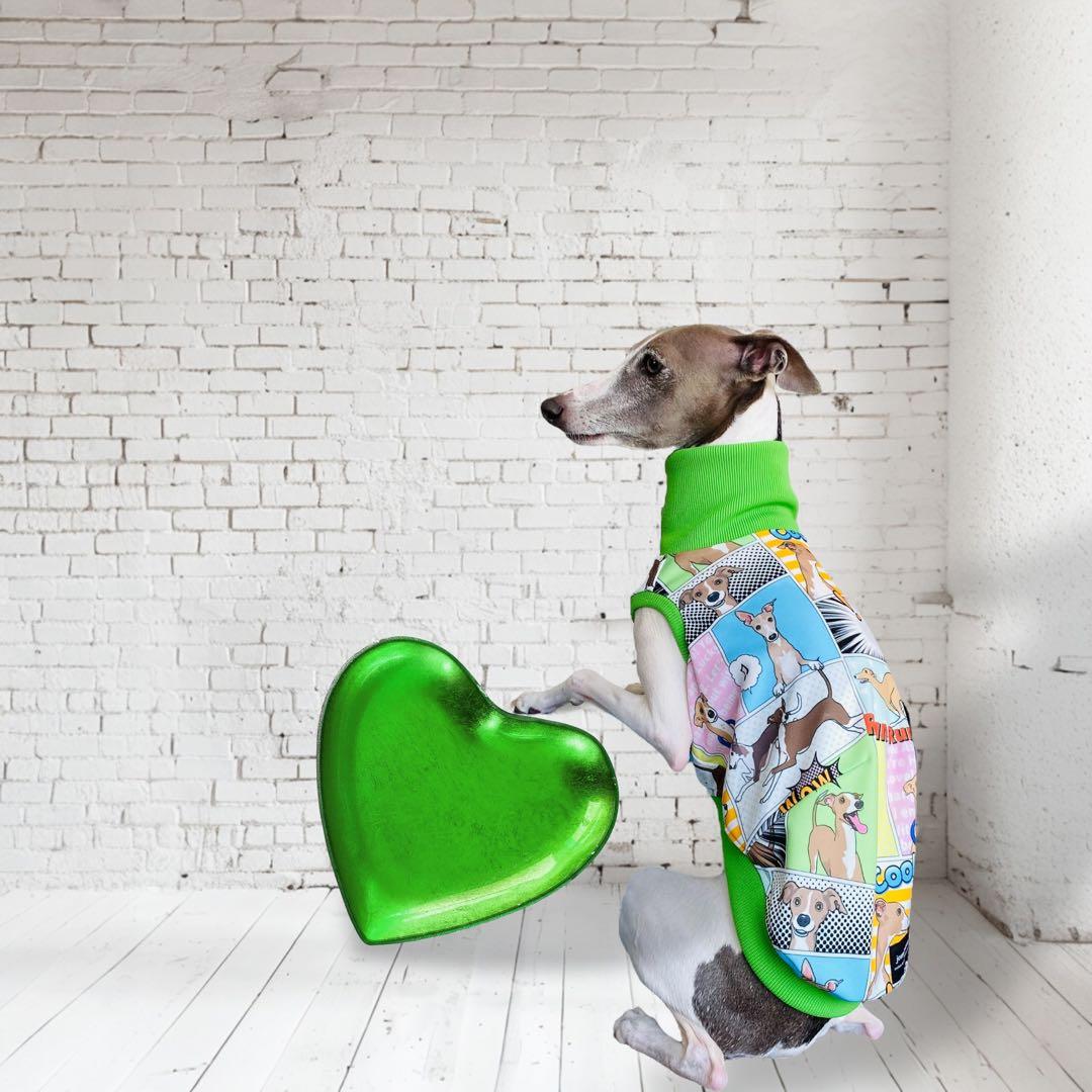 ⑮ミニピン、ミニピンを纏う　　　　　　　 　イタグレ、イタグレを纏う