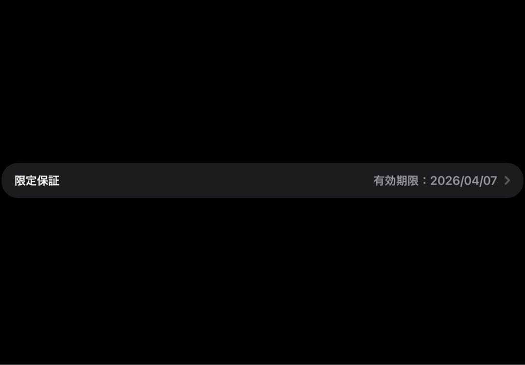 iPad Air m3 11インチ 128GB ブルータブレットケース付き正規品