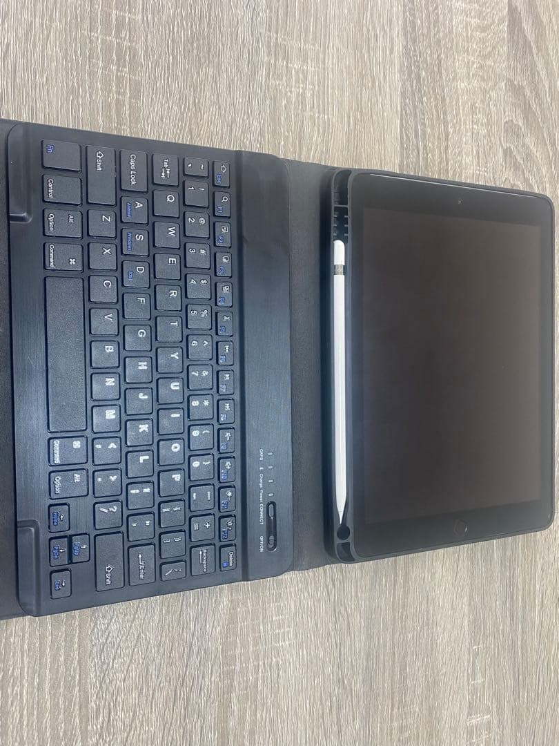 ipad 第六世代　シルバー　Apple Pencil第一世代付き